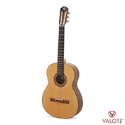 Guitar Classic VALOTE VC-303F